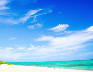 挙式以外の楽しみがある